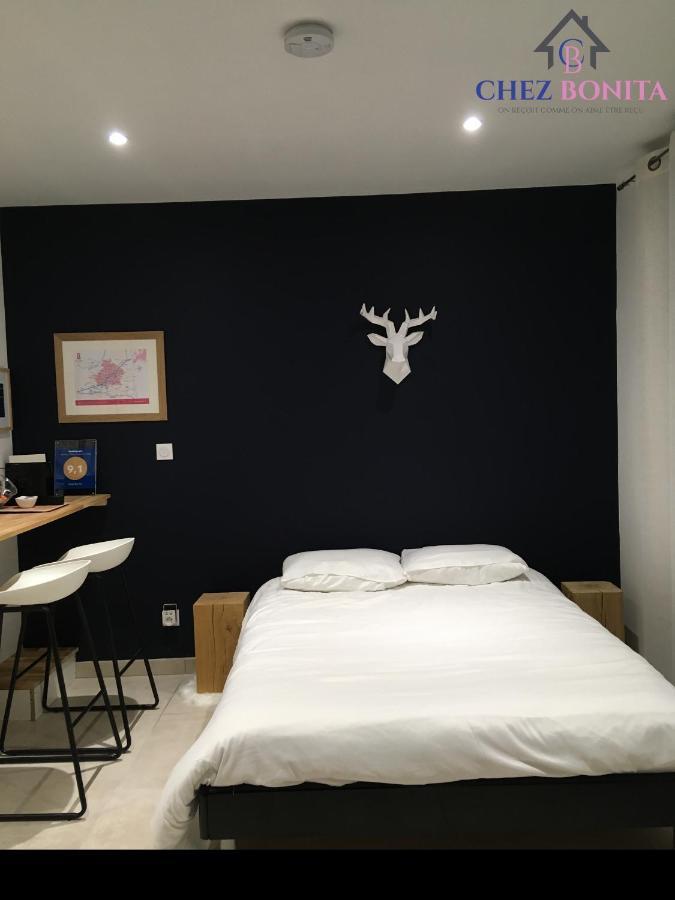 Chez Bonita Hotel Chouzy-sur-Cisse Buitenkant foto