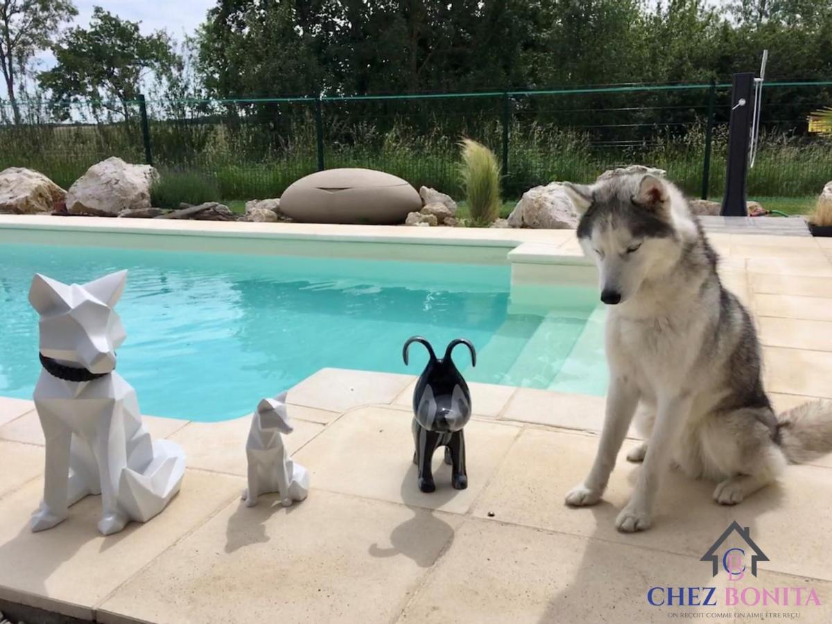 Chez Bonita Hotel Chouzy-sur-Cisse Buitenkant foto
